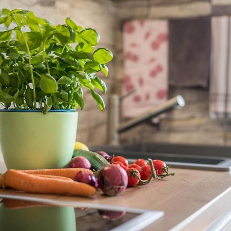 Friedolin Im Baerenhuesli Apartment Титизее-Нойщат Екстериор снимка